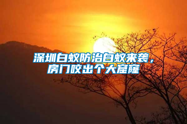 深圳白蟻防治白蟻來襲，房門咬出個(gè)大窟窿