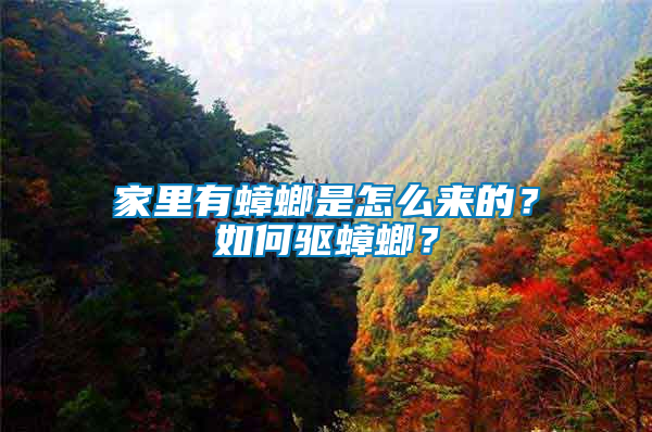 家里有蟑螂是怎么來的？如何驅(qū)蟑螂？