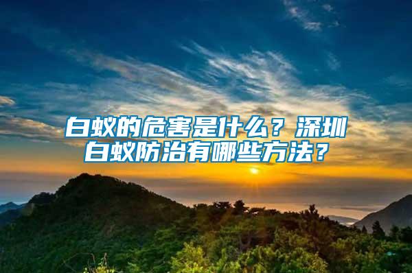 白蟻的危害是什么？深圳白蟻防治有哪些方法？