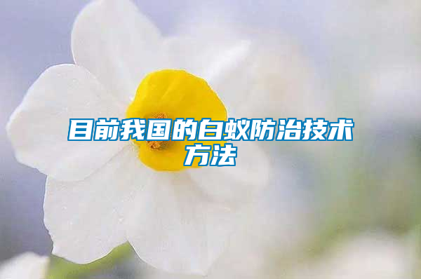 目前我國(guó)的白蟻防治技術(shù)方法