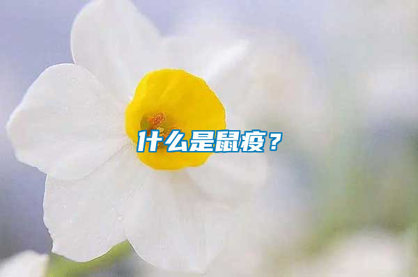 什么是鼠疫？