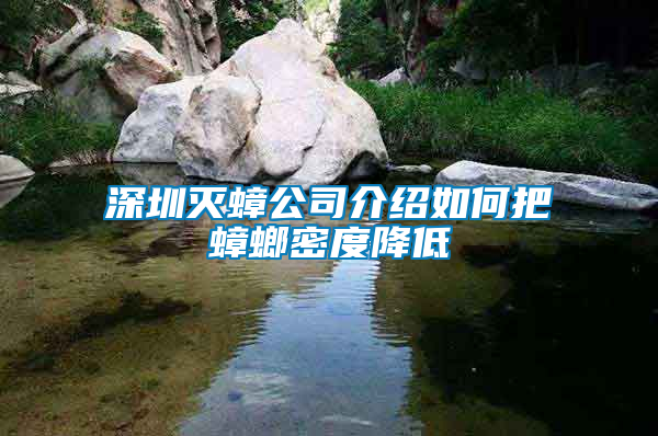 深圳滅蟑公司介紹如何把蟑螂密度降低