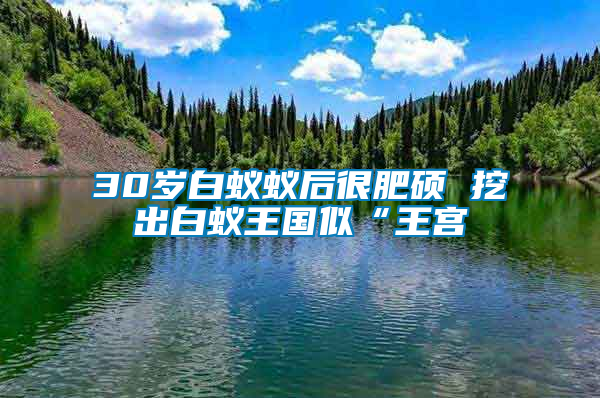 30歲白蟻蟻后很肥碩 挖出白蟻王國(guó)似“王宮