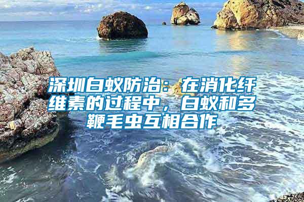 深圳白蟻防治：在消化纖維素的過程中，白蟻和多鞭毛蟲互相合作