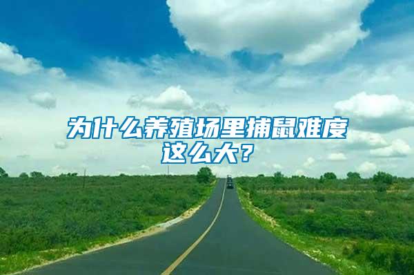 為什么養(yǎng)殖場里捕鼠難度這么大？