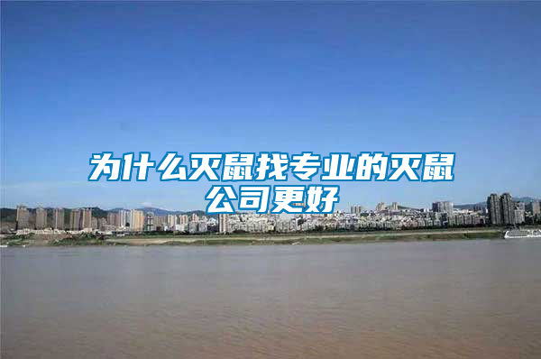 為什么滅鼠找專業(yè)的滅鼠公司更好