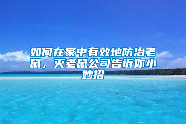 如何在家中有效地防治老鼠，滅老鼠公司告訴你小妙招