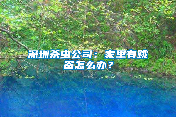 深圳殺蟲公司：家里有跳蚤怎么辦？