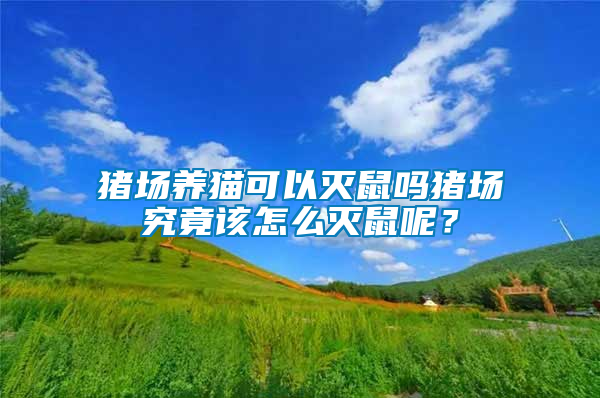 豬場(chǎng)養(yǎng)貓可以滅鼠嗎豬場(chǎng)究竟該怎么滅鼠呢？