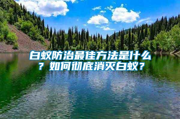 白蟻防治最佳方法是什么？如何徹底消滅白蟻？