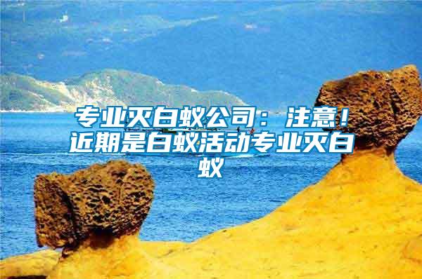 專業(yè)滅白蟻公司：注意！近期是白蟻活動(dòng)專業(yè)滅白蟻