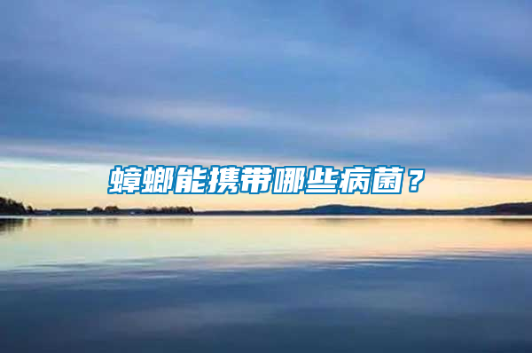 蟑螂能攜帶哪些病菌？