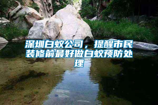 深圳白蟻公司，提醒市民裝修前最好做白蟻預防處理