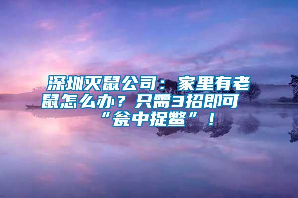 深圳滅鼠公司：家里有老鼠怎么辦？只需3招即可“甕中捉鱉”！