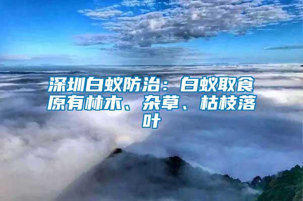 深圳白蟻防治：白蟻取食原有林木、雜草、枯枝落葉