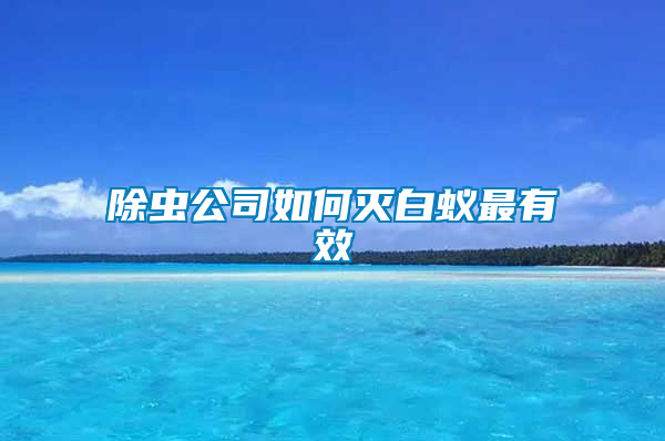 除蟲公司如何滅白蟻?zhàn)钣行?/></p>
             <p style=