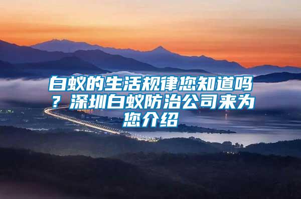 白蟻的生活規(guī)律您知道嗎？深圳白蟻防治公司來為您介紹