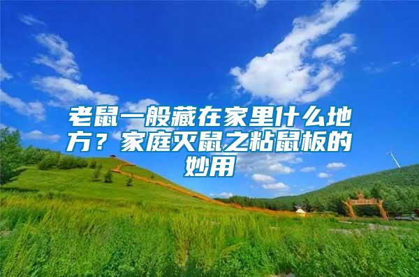 老鼠一般藏在家里什么地方？家庭滅鼠之粘鼠板的妙用