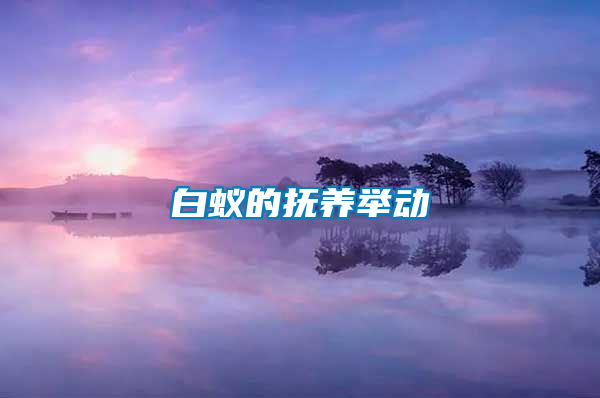 白蟻的撫養(yǎng)舉動