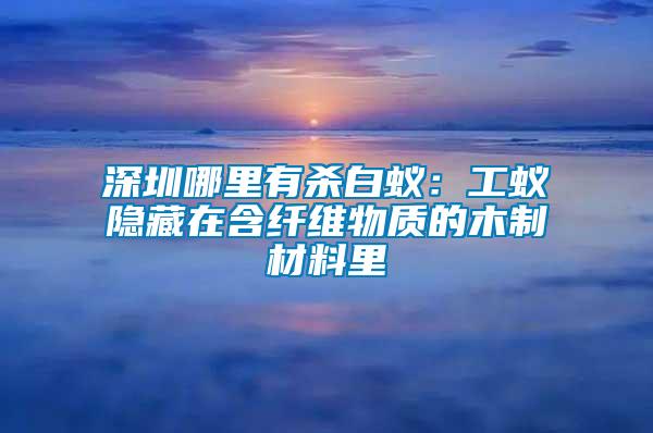 深圳哪里有殺白蟻：工蟻隱藏在含纖維物質(zhì)的木制材料里