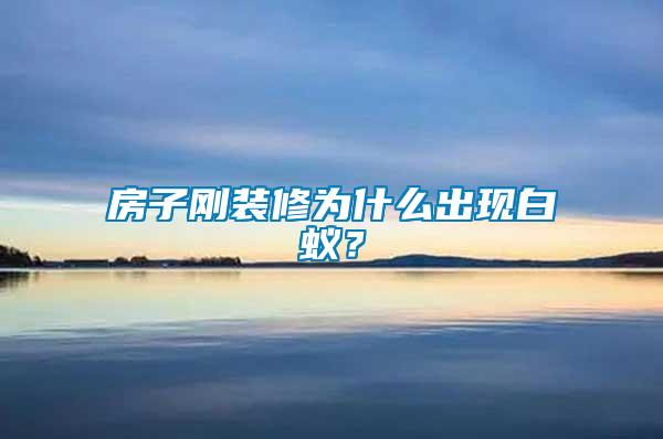 房子剛裝修為什么出現(xiàn)白蟻？