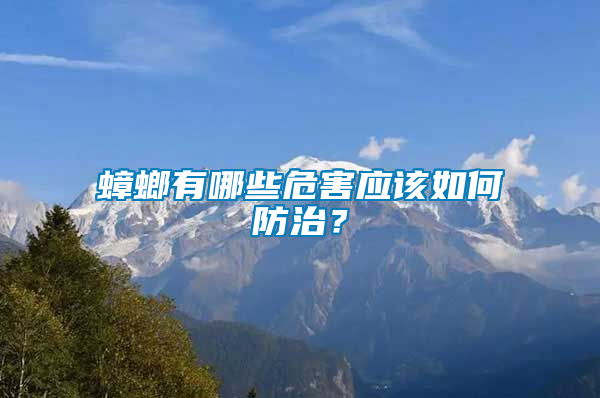 蟑螂有哪些危害應(yīng)該如何防治？