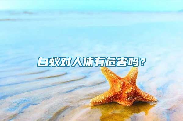 白蟻對(duì)人體有危害嗎？