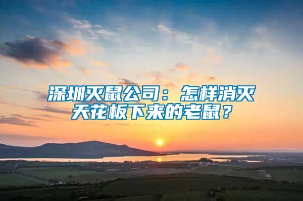 深圳滅鼠公司：怎樣消滅天花板下來(lái)的老鼠？