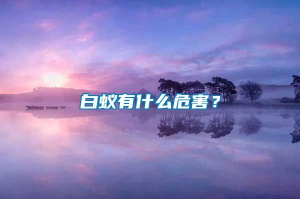 白蟻有什么危害？