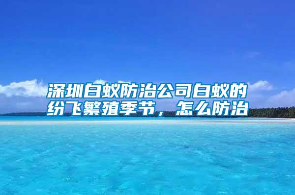 深圳白蟻防治公司白蟻的紛飛繁殖季節(jié)，怎么防治