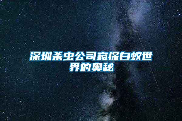 深圳殺蟲(chóng)公司窺探白蟻世界的奧秘