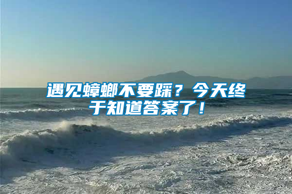 遇見蟑螂不要踩？今天終于知道答案了！