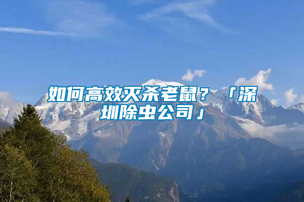 如何高效滅殺老鼠？「深圳除蟲公司」