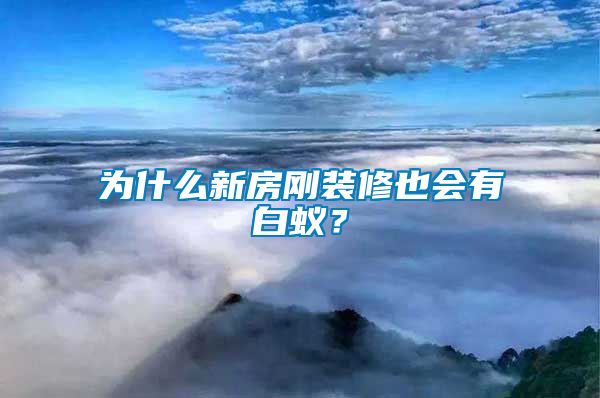 為什么新房剛裝修也會(huì)有白蟻？