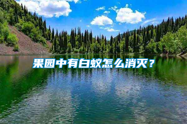 果園中有白蟻怎么消滅？