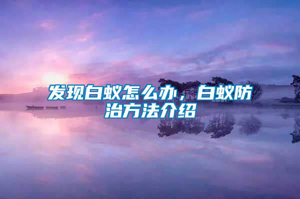 發(fā)現(xiàn)白蟻怎么辦，白蟻防治方法介紹