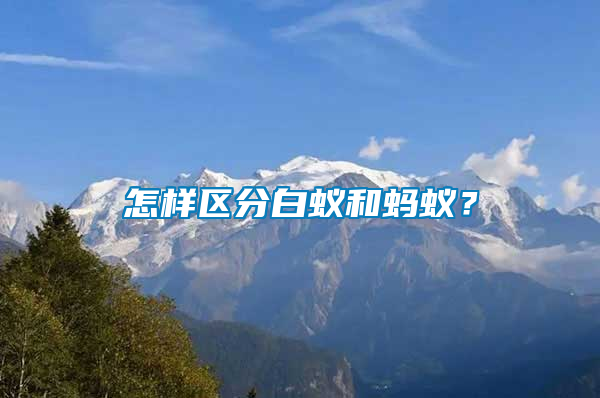 怎樣區(qū)分白蟻和螞蟻？