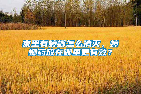 家里有蟑螂怎么消滅，蟑螂藥放在哪里更有效？