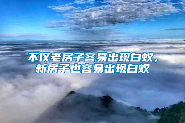 不僅老房子容易出現(xiàn)白蟻，新房子也容易出現(xiàn)白蟻