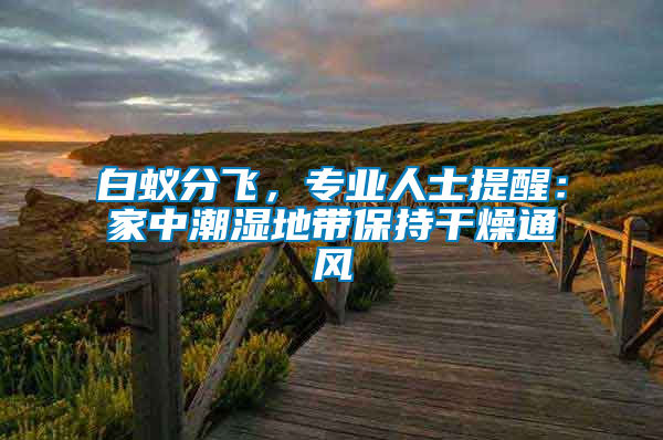 白蟻分飛，專業(yè)人士提醒：家中潮濕地帶保持干燥通風(fēng)