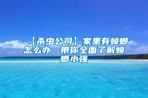 【殺蟲公司】家里有蟑螂怎么辦，帶你全面了解蟑螂小強(qiáng)