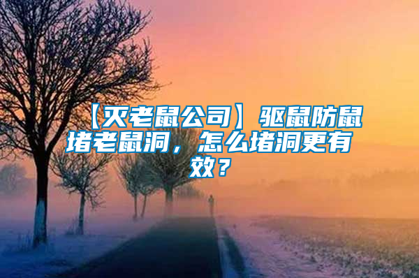 【滅老鼠公司】驅(qū)鼠防鼠堵老鼠洞，怎么堵洞更有效？