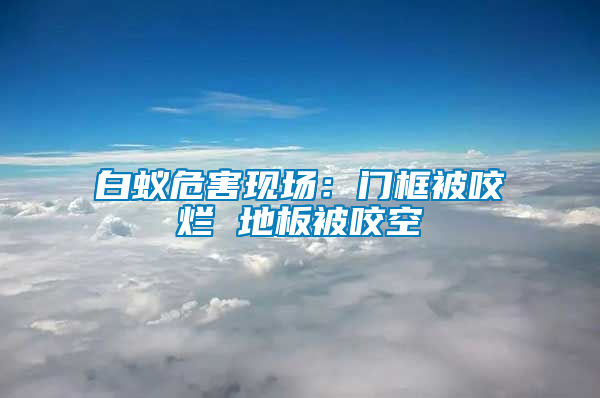 白蟻危害現(xiàn)場(chǎng)：門框被咬爛 地板被咬空