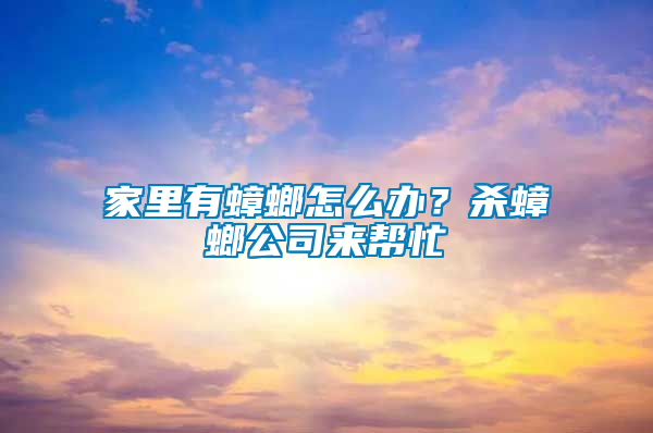 家里有蟑螂怎么辦？殺蟑螂公司來幫忙