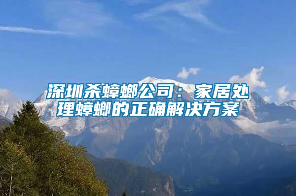 深圳殺蟑螂公司：家居處理蟑螂的正確解決方案