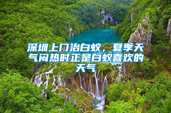 深圳上門治白蟻，夏季天氣悶熱時(shí)正是白蟻喜歡的天氣