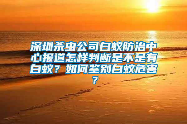 深圳殺蟲(chóng)公司白蟻防治中心報(bào)道怎樣判斷是不是有白蟻？如何鑒別白蟻危害？