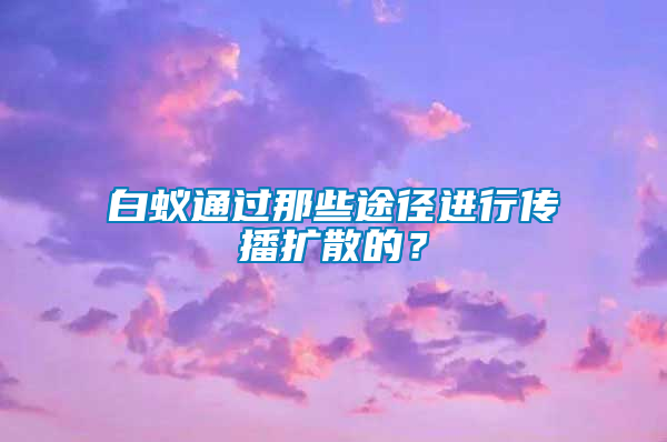 白蟻通過(guò)那些途徑進(jìn)行傳播擴(kuò)散的？