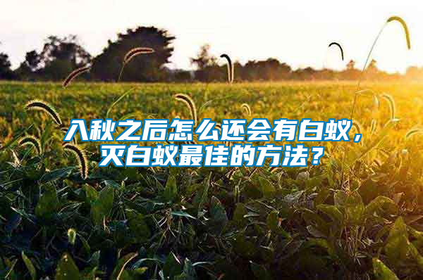 入秋之后怎么還會有白蟻，滅白蟻?zhàn)罴训姆椒ǎ?/></p>
             <p style=