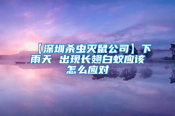 【深圳殺蟲滅鼠公司】下雨天 出現(xiàn)長(zhǎng)翅白蟻應(yīng)該怎么應(yīng)對(duì)